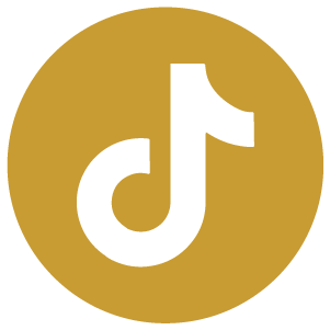 tiktok social media icon