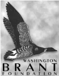 TheWashingtonBrantFoundation