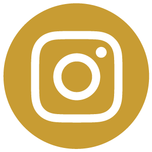 instagram social media icon