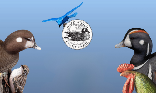 default partners image